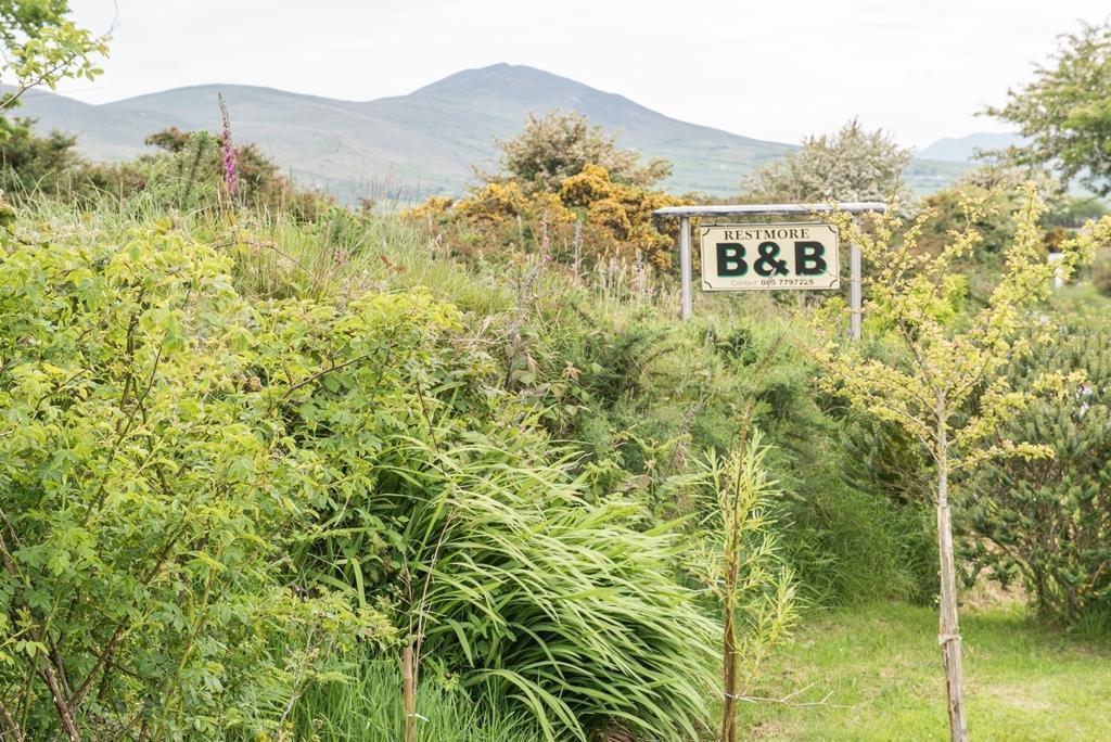 Restmore B&B Annascaul Luaran gambar